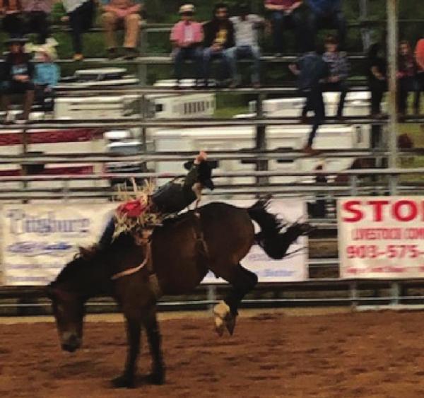 Views from the Pittsburg Rodeo