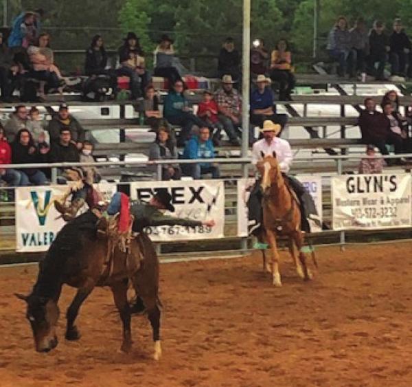 Views from the Pittsburg Rodeo