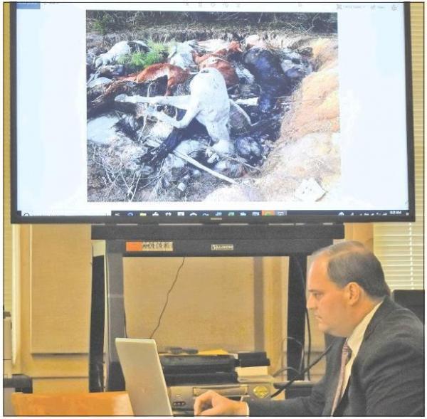 Article Image Alt Text