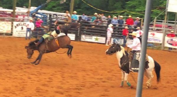 Views from the Pittsburg Rodeo