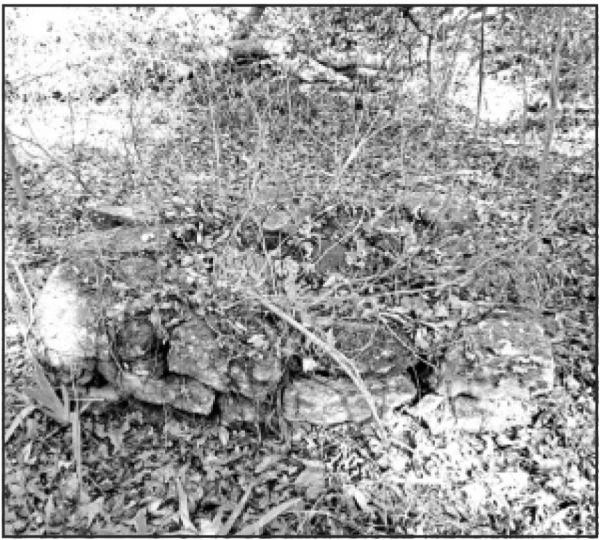 Above - ground crypts on the property at Porter Cemetery now have trees and brush growing through them. GAZETTE PHOTO / DI DUNCAN Above - ground crypts on the property at Porter Cemetery now have trees and brush growing through them. GAZETTE PHOTO / DI DUNCAN