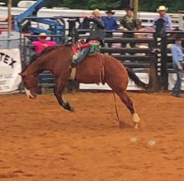 Views from the Pittsburg Rodeo