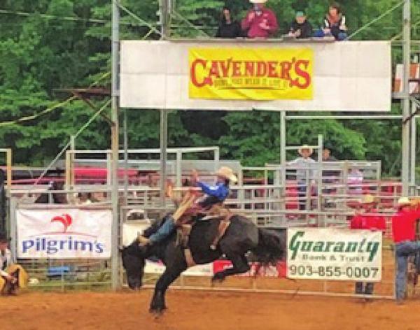 Views from the Pittsburg Rodeo