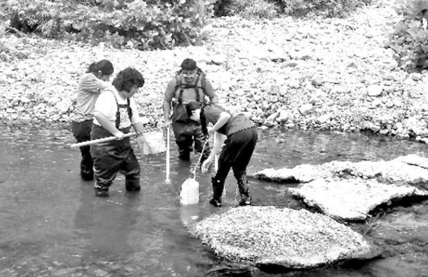 NTCC biology program makes potential new species discovery in Arkansas