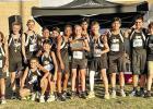 Running things: 5 of 6 Pitt XC teams win district titles
