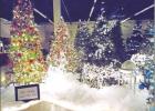 Carols in the Park opens to the public