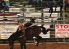 Views from the Pittsburg Rodeo