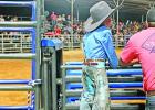 Ridin’ bulls and winnin’ buckles