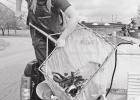 Spring fishing is around the corner