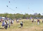 Perfect kite flying weather drew crowds