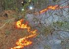 The Forest Service dozer plows through EVERYTHING to create a border around the conflagration. GAZETTE PHOTO / ELIZABETH LANNING High winds and low wires equal fire