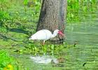 Texas State Parks Photo Contest launches in honor of 100-Year Celebration