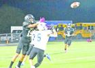 Pitt Snapshots in action