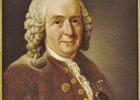 In the 1760s, Carl Linnaeus developed the terms used today in biology to identify different living organisms. What makes this a honeybee?