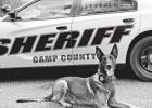 Camp County Sheriff’s Office K9 Niko to get donation of body armor