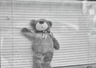 Peonies Skin Care also placed a bear in the front windows of the business. Peonies Skin Care also placed a bear in the front windows of the business.