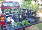 COURTESY PHOTO Planting Time