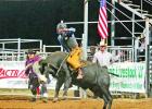 Ridin’ bulls and winnin’ buckles