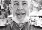 Our Declining Bird Population Article Image Alt Text