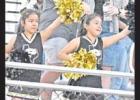  Pitt Snapshots in action