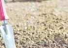 COURTESY PHOTO What to know about reseeding or replanting your lawn