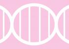 Genes and Hereditary Cancer
