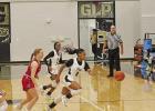 Lady Pirates fall to PT, QC