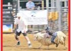 Judah clings fast to his woolly mount in the Mutton Bustin’ competition. Pittsburg turns out for 61st annual rodeo