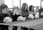 Camp County Youth Show