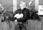 Camp County Youth Show