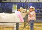Grand Champion Winners