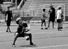 Playing for the pick of the crop