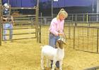 Grand Champion Winners
