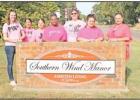 Painting Southern Wind pink