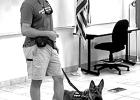 Pittsburg Lions Club hosts local K9 Trainer to Showcase Service Dog Training for local Veteran