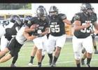  Pitt Snapshots in action