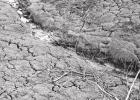 How to control and prepare for the inevitable drought