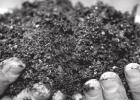 Aerobic soil