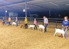 4H Club learns from special guests