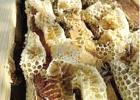 Beeswax is collected from the hive frames and and then melted. How do Beekeepers harvest beeswax?
