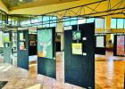 COURTESY PHOTO Rebecca Pelley McWatters art exhibit on display
