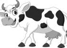 Cows call greenhouse gas charges udderly ridiculous in raucous video
