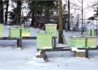 COURTESY PHOTO How are the bees?