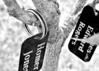 tags have been placed on limbs of the pecan tree with tags honoring Homes Jones and James Edward Rogers tags have been placed on limbs of the pecan tree with tags honoring Homes Jones and James Edward Rogers