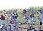 Everyone was invited to step into a half-barrel and smash grapes in the traditional way. GAZETTE PHOTO / KELSIE HOOPER Grape-stomping, fall fun