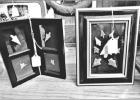 Bring natural history into your home with these sets found at Rick’s Antiques. GIFTS FOR HIM