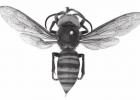 The Asian giant hornet, Vespa mandarinia, has recently been spotted close to the Canadian border in Washington state. The Asian giant hornet has a distinctive yellow-orange head and heavier body than those of our largest native wasps. Article Image Alt Text