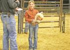 Reserve Grand Champion Winners