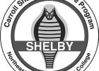 Shelby club planning chili cook- off