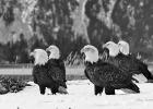 COURTESY PHOTO Larry Terrell photography exhibit planned for September